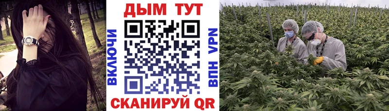 Какие есть наркотики Кола Галлюциногенные грибы Мефедрон Гашиш Конопля Cocaine