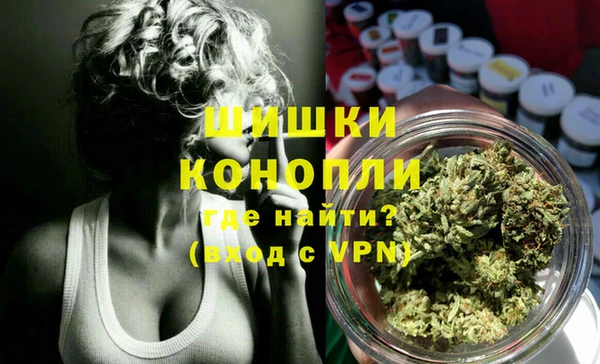мет Бородино