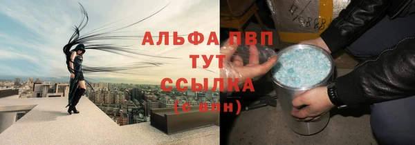 мет Бородино