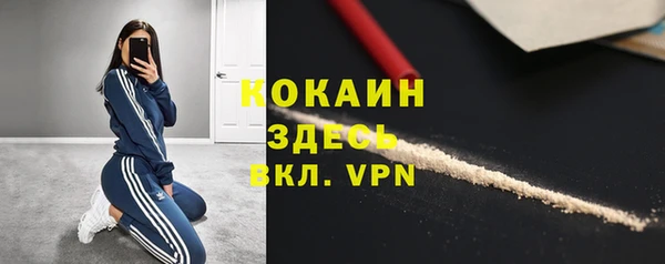 spice Богданович