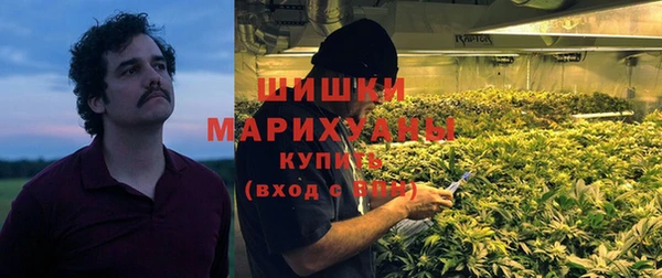 мет Бородино