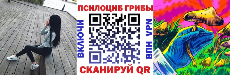Псилоцибиновые грибы Psilocybe  Кола 